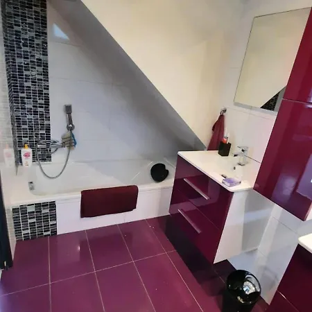 Maison Centre Homestay *